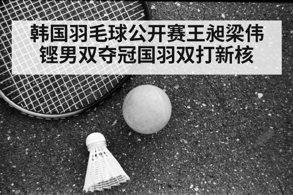 韩国羽毛球公开赛王昶梁伟铿男双夺冠国羽双打新核